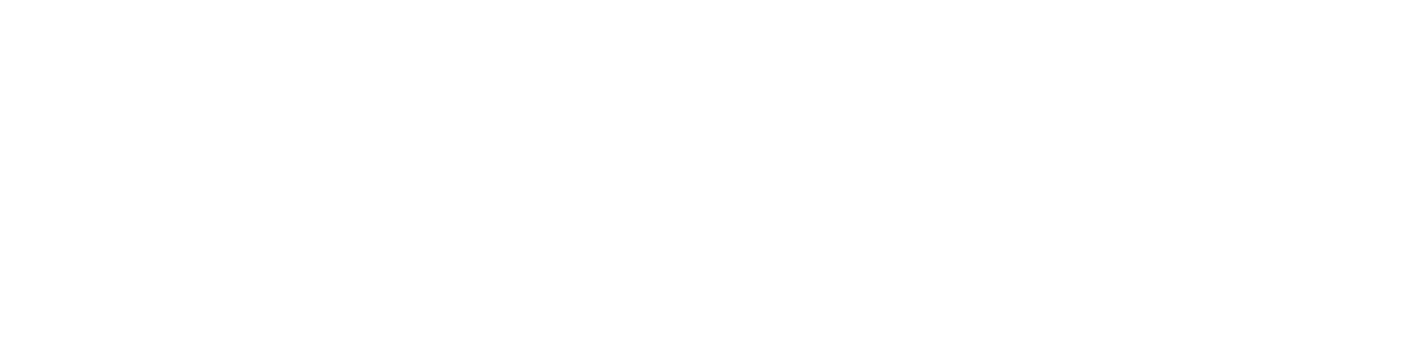 Different Class | Data Consultation | Software Development | Website Design