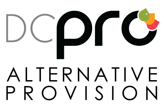 DCPro-Alt-Prov-Logo